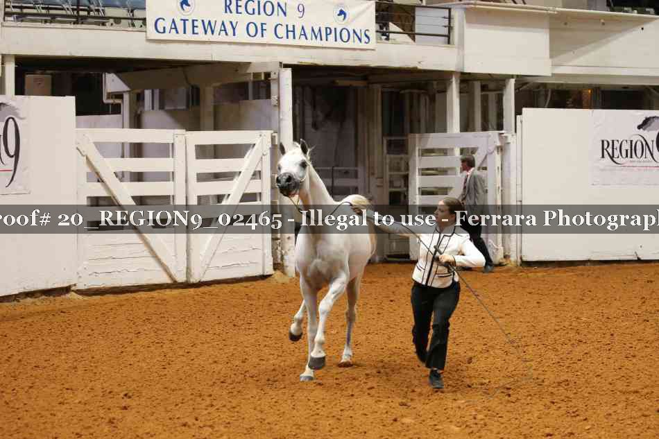 Proof 20_REGION9_02465