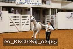 20_REGION9_02465 proof