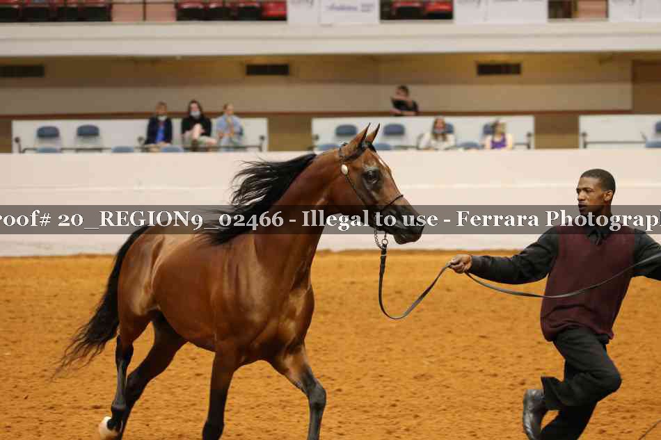 Proof 20_REGION9_02466