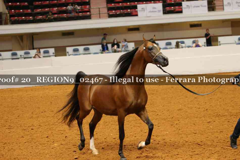 Proof 20_REGION9_02467