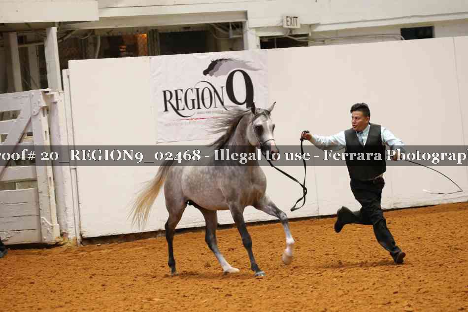 Proof 20_REGION9_02468