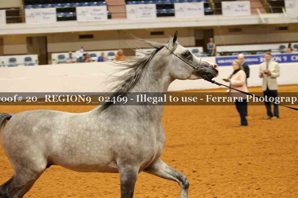 Proof 20_REGION9_02469