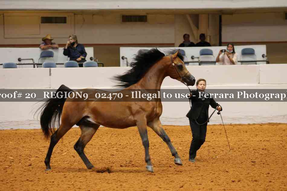 Proof 20_REGION9_02470