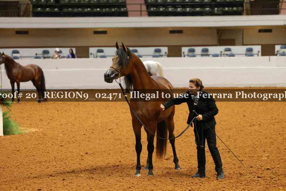 Proof 20_REGION9_02471