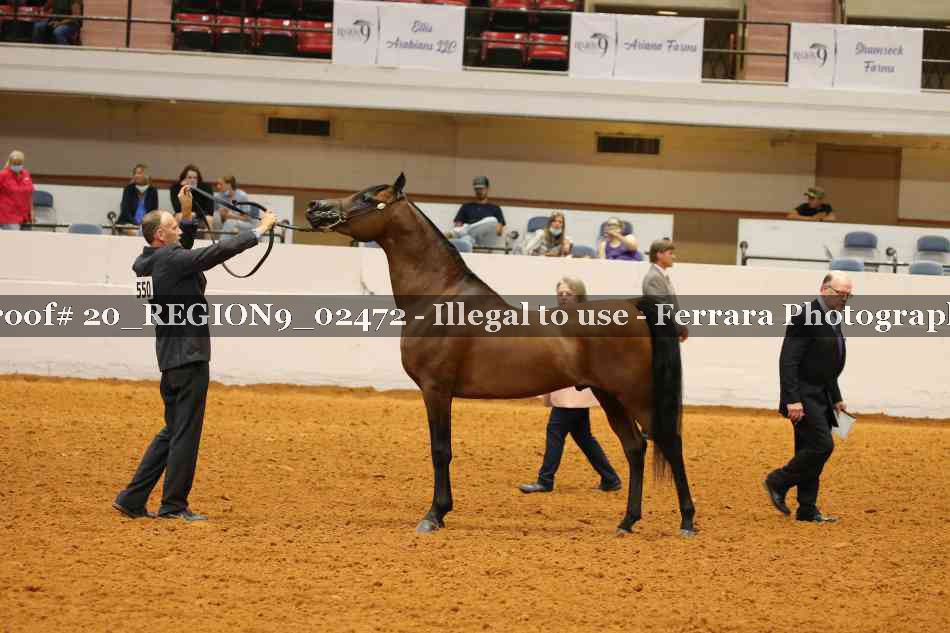 Proof 20_REGION9_02472