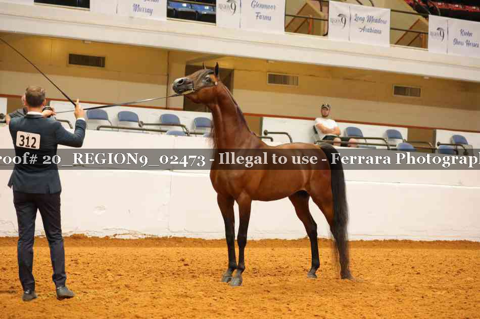Proof 20_REGION9_02473