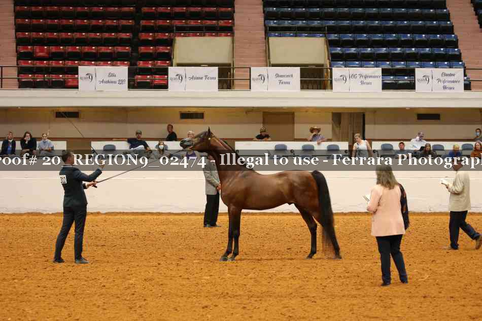 Proof 20_REGION9_02474