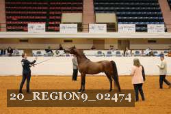 20_REGION9_02474 proof