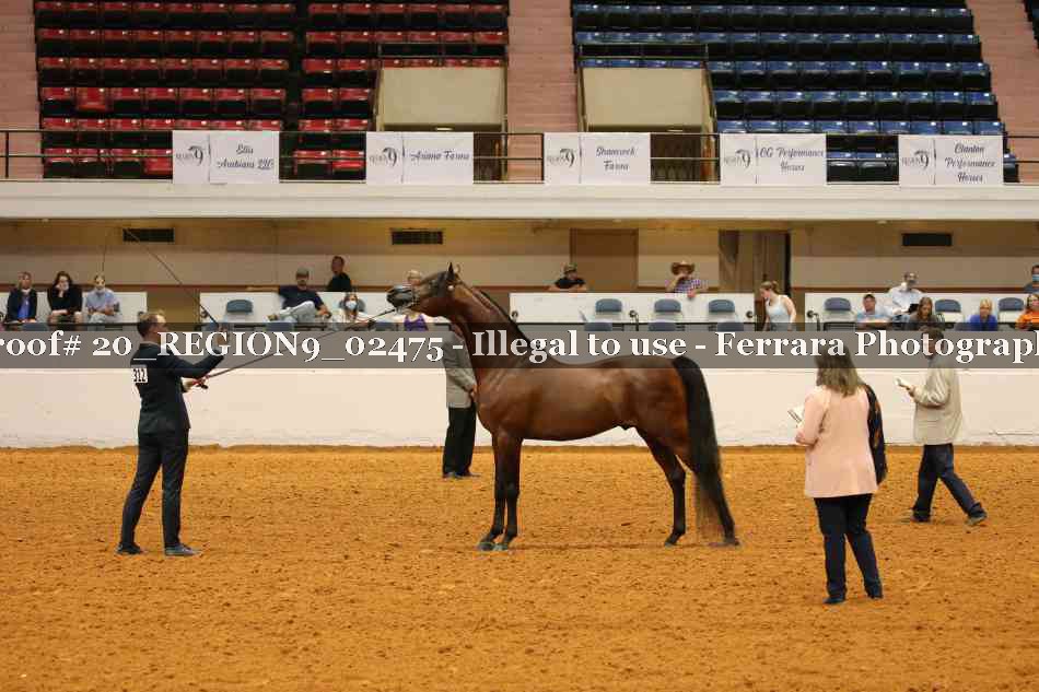 Proof 20_REGION9_02475