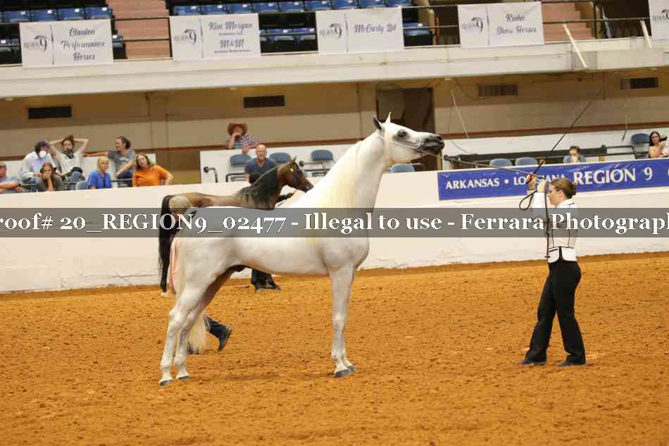 Proof 20_REGION9_02477