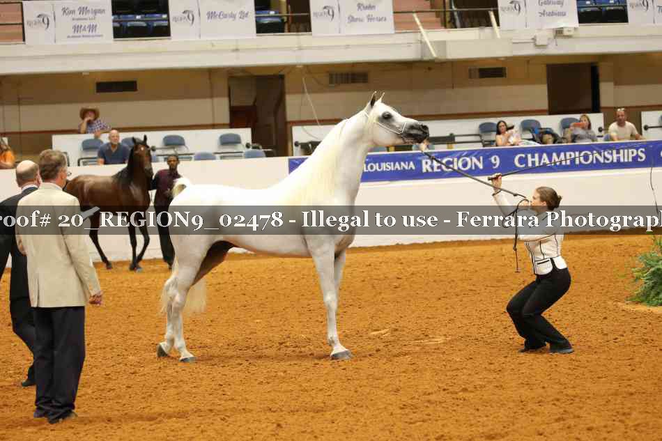 Proof 20_REGION9_02478
