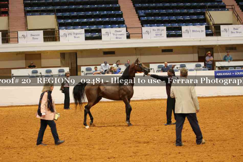 Proof 20_REGION9_02481