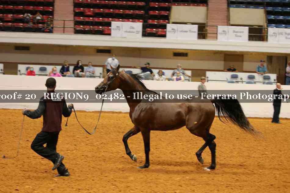 Proof 20_REGION9_02482
