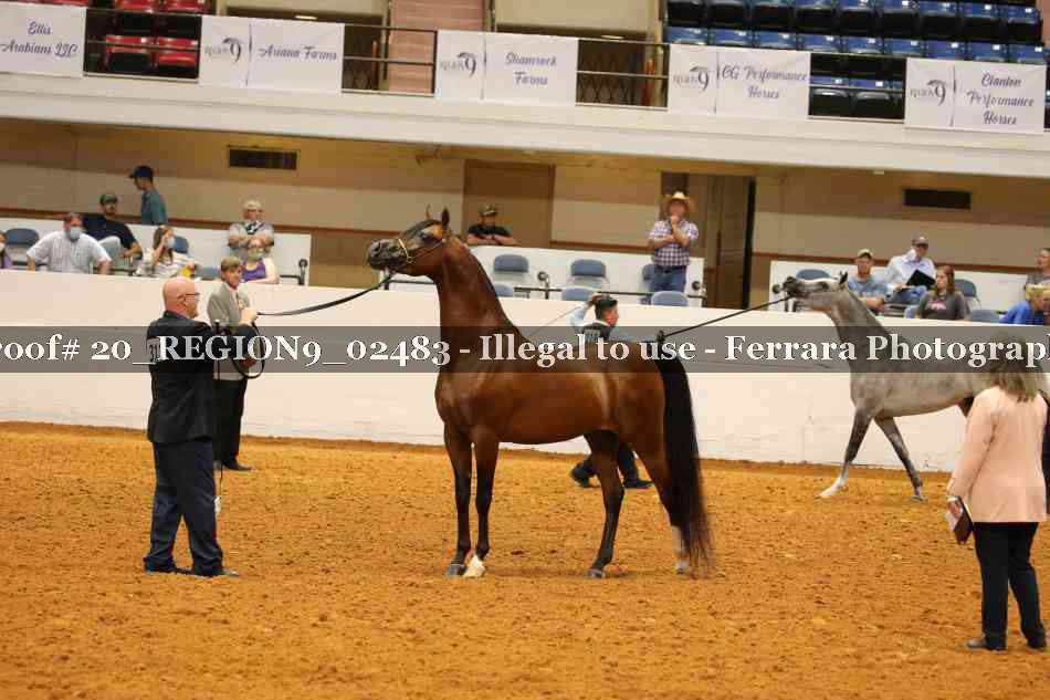 Proof 20_REGION9_02483