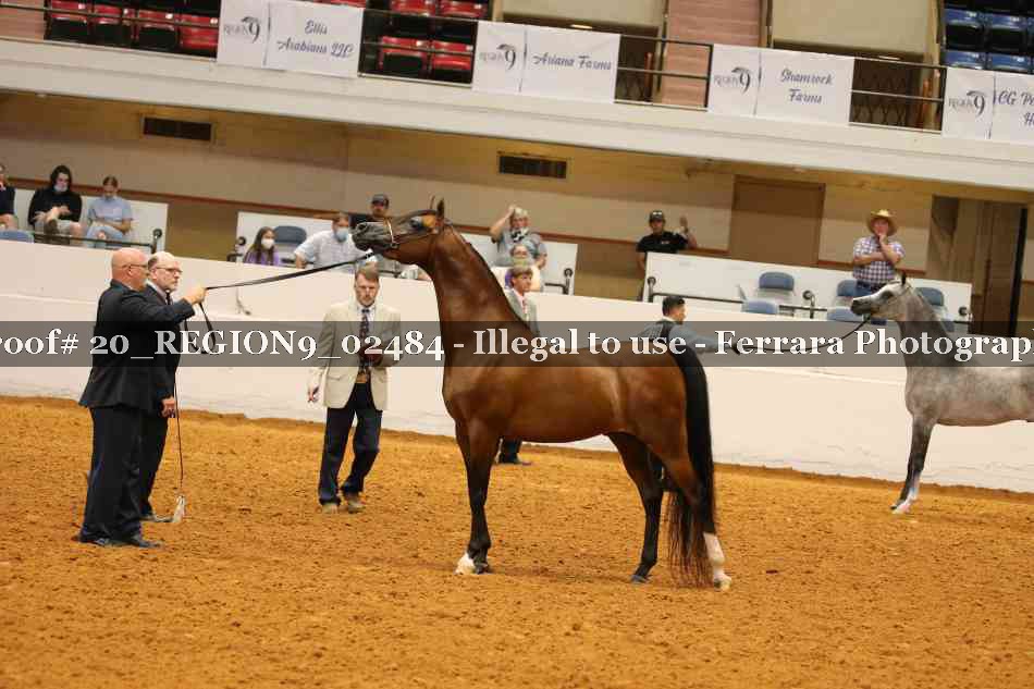 Proof 20_REGION9_02484