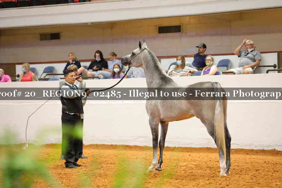 Proof 20_REGION9_02485