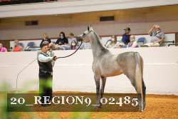 20_REGION9_02485 proof