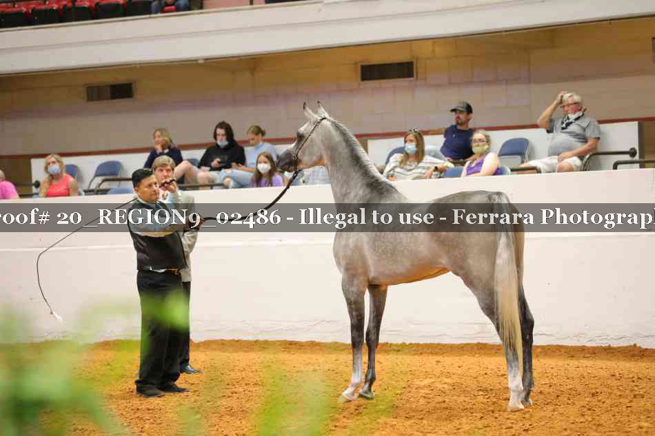 Proof 20_REGION9_02486