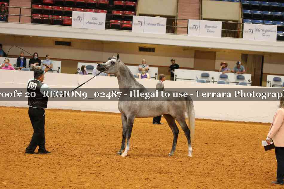 Proof 20_REGION9_02487