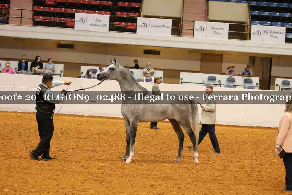 Proof 20_REGION9_02488