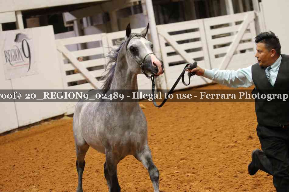 Proof 20_REGION9_02489