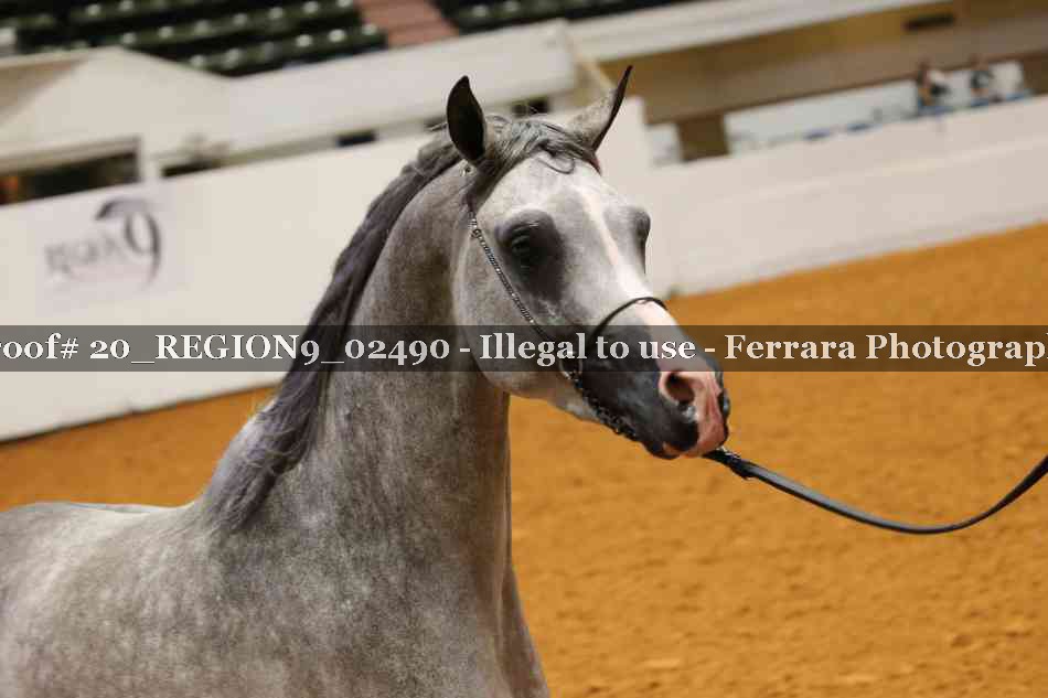Proof 20_REGION9_02490