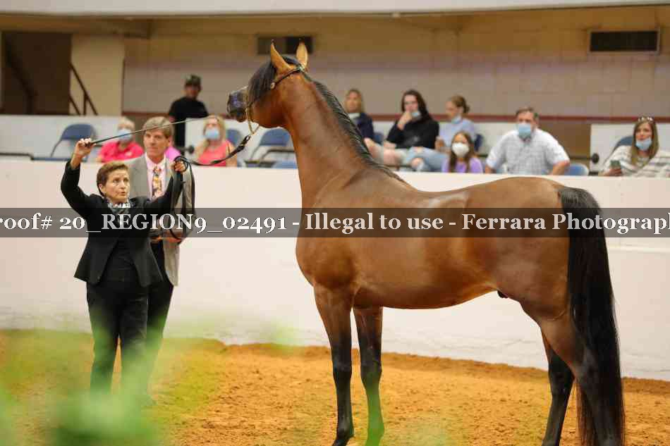 Proof 20_REGION9_02491