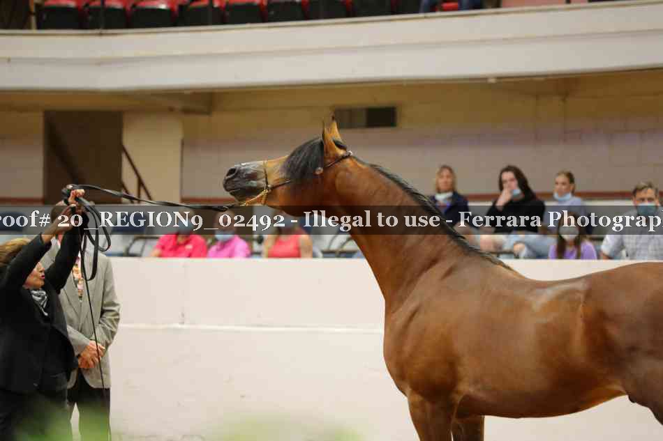 Proof 20_REGION9_02492