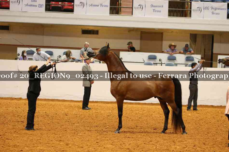 Proof 20_REGION9_02493