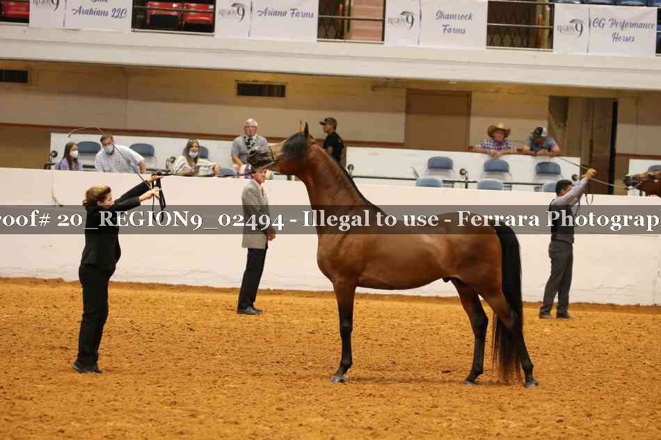 Proof 20_REGION9_02494