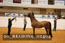20_REGION9_02494 proof
