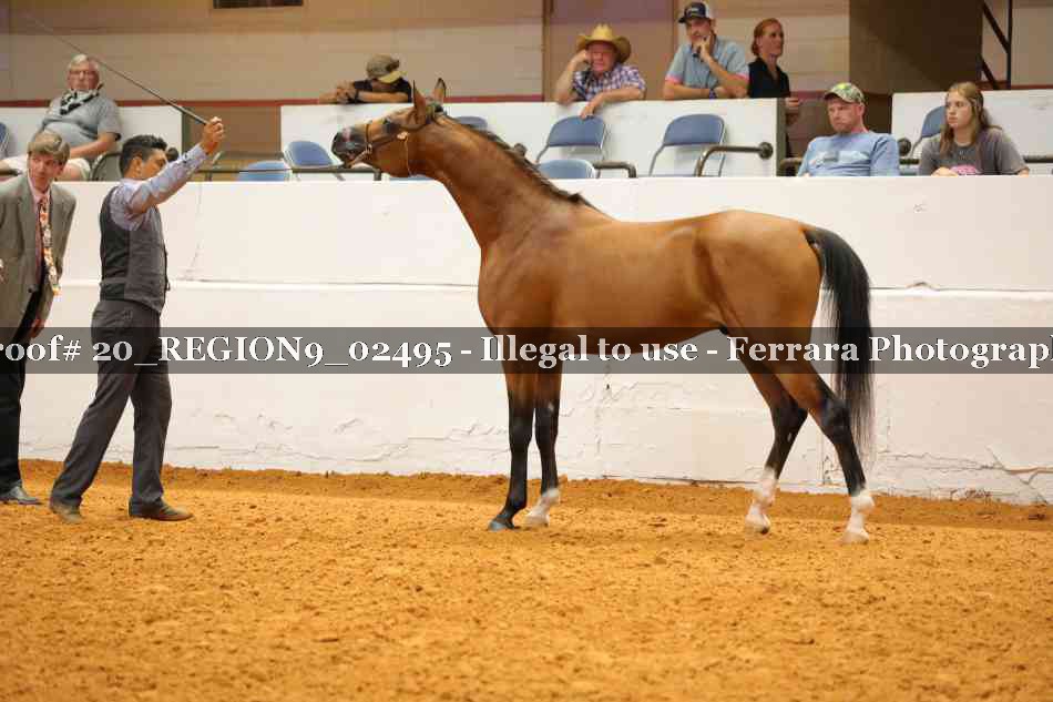 Proof 20_REGION9_02495