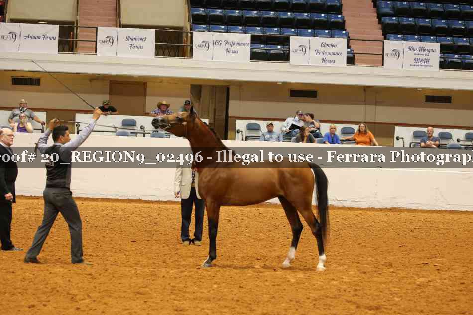 Proof 20_REGION9_02496
