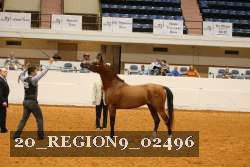 20_REGION9_02496 proof