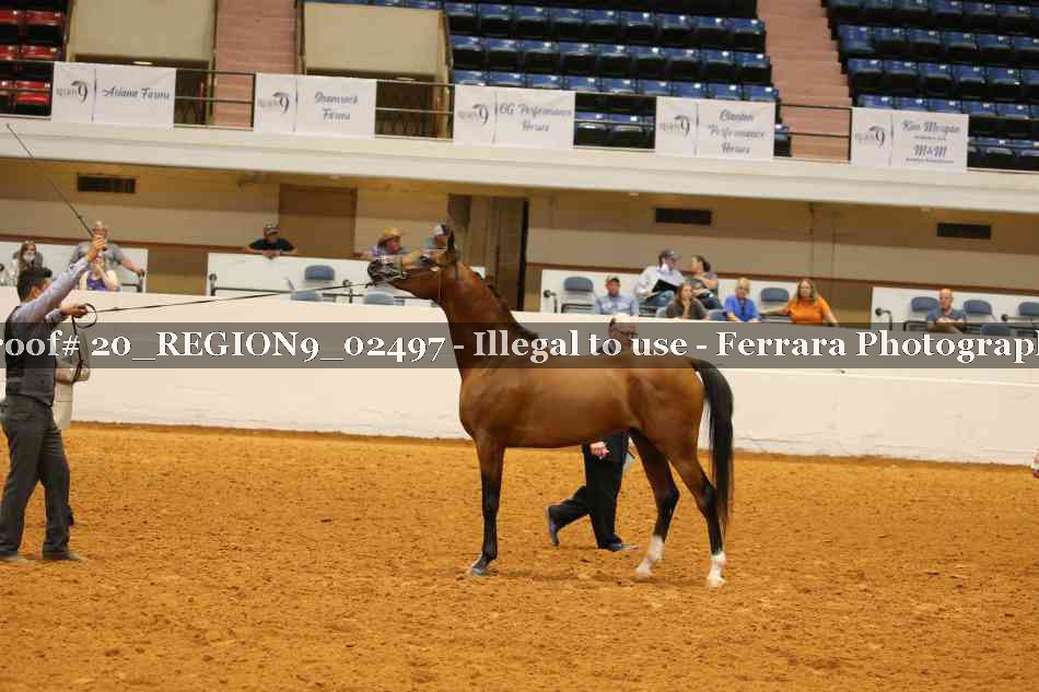 Proof 20_REGION9_02497