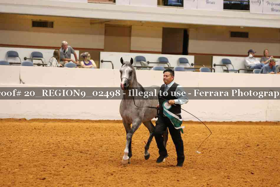 Proof 20_REGION9_02498