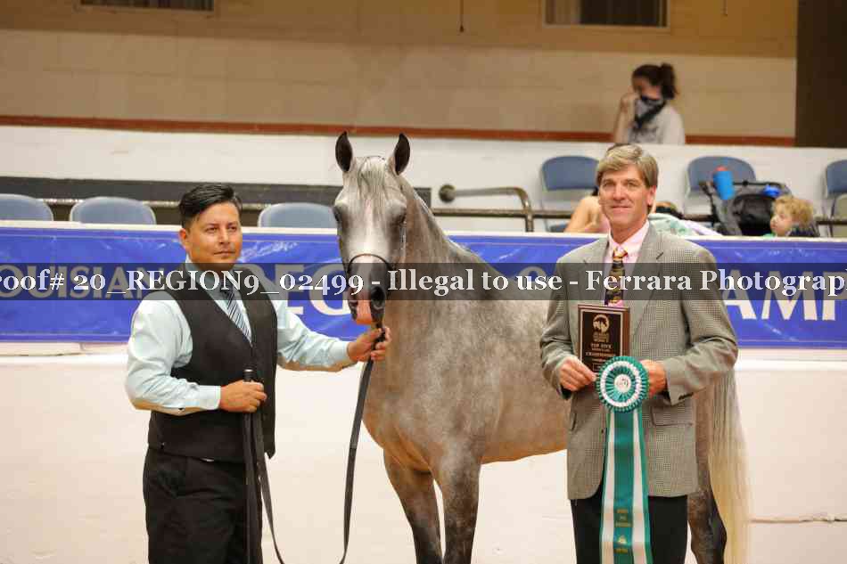 Proof 20_REGION9_02499