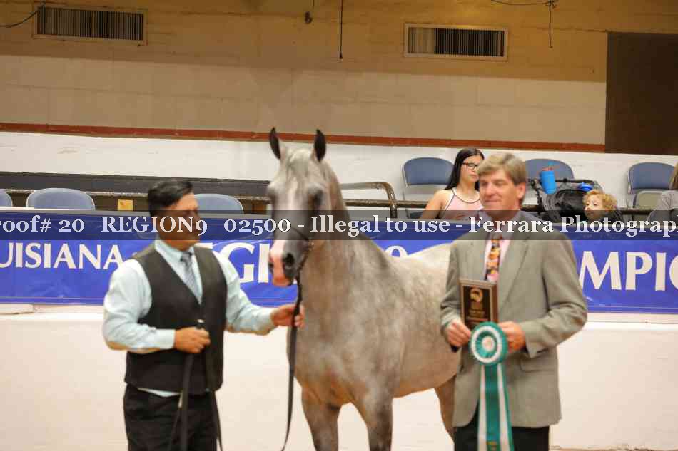 Proof 20_REGION9_02500