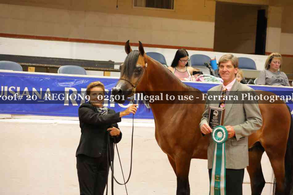 Proof 20_REGION9_02501