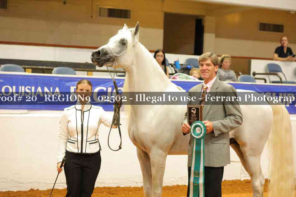 Proof 20_REGION9_02502
