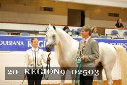 20_REGION9_02503 proof