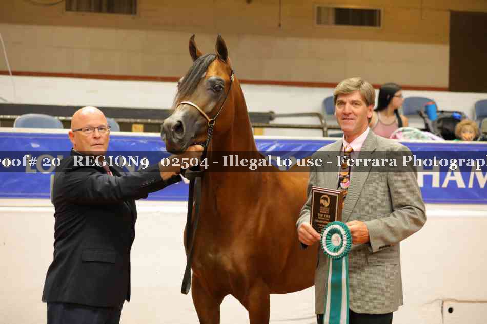 Proof 20_REGION9_02504