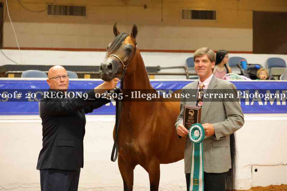 Proof 20_REGION9_02505