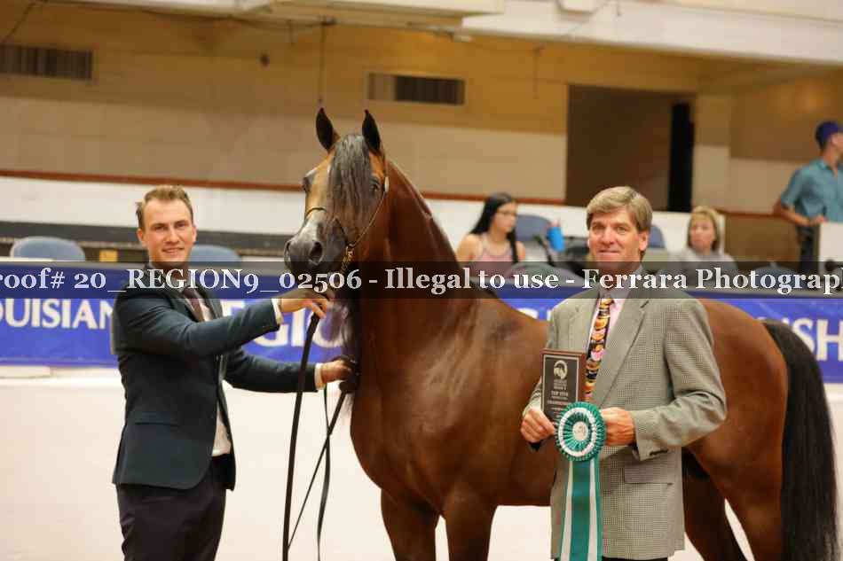 Proof 20_REGION9_02506