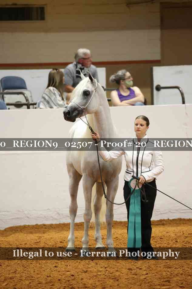 Proof 20_REGION9_02507