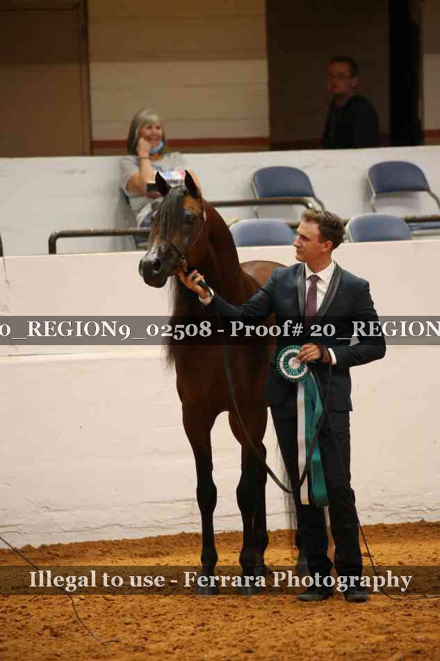 Proof 20_REGION9_02508