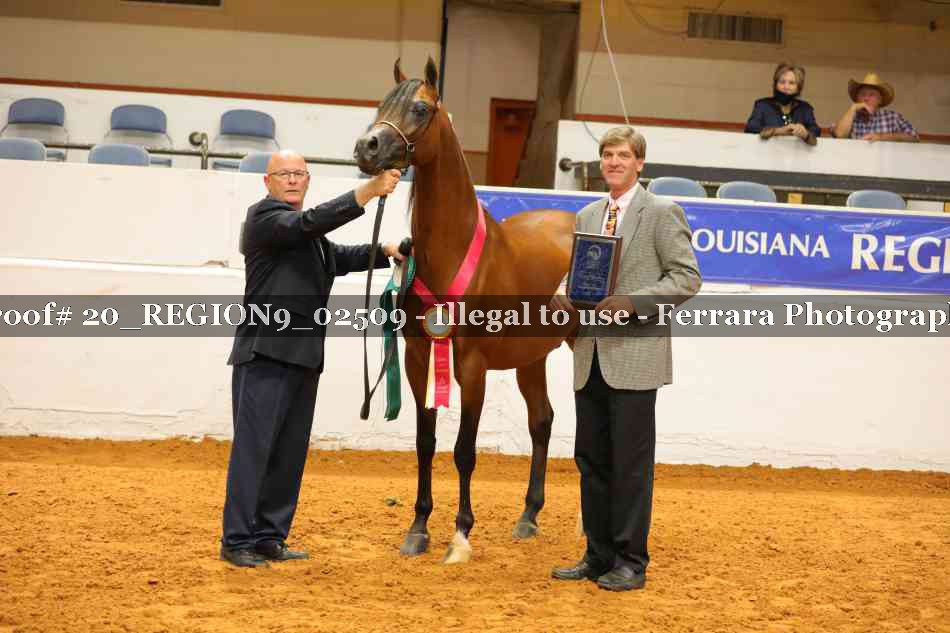Proof 20_REGION9_02509