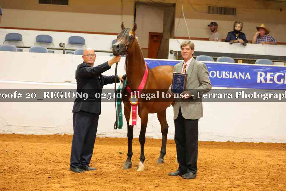 Proof 20_REGION9_02510
