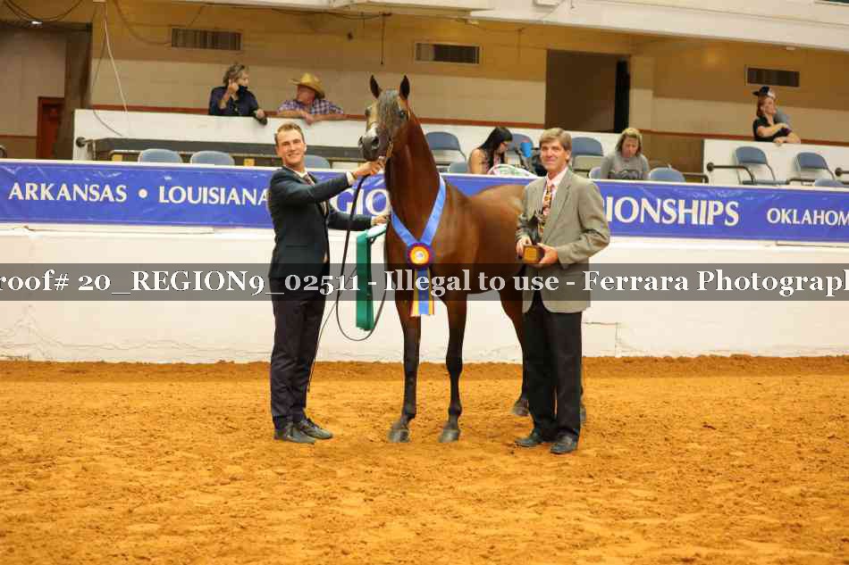 Proof 20_REGION9_02511