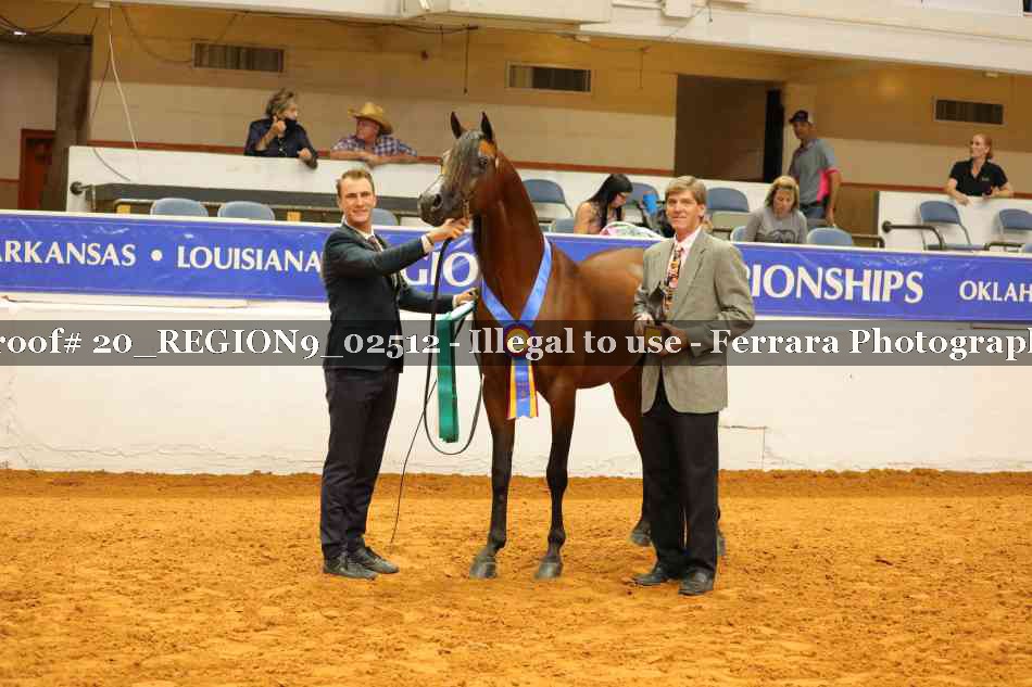 Proof 20_REGION9_02512